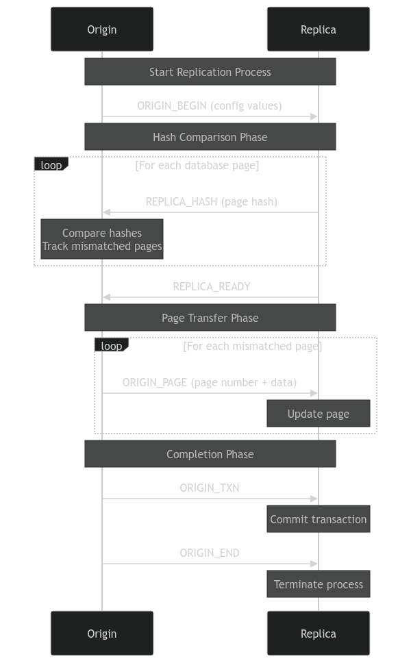 Replication Protocol